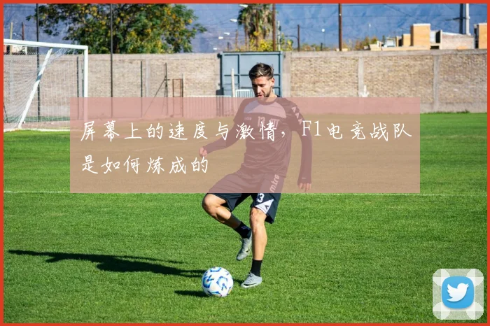 屏幕上的速度与激情，F1电竞战队是如何炼成的