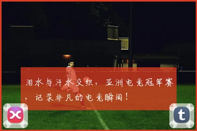泪水与汗水交织，亚洲电竞冠军赛，记录非凡的电竞瞬间！