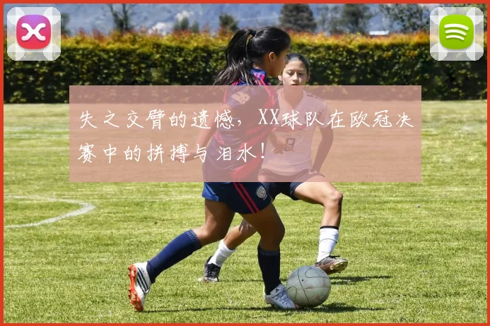 失之交臂的遗憾，XX球队在欧冠决赛中的拼搏与泪水！