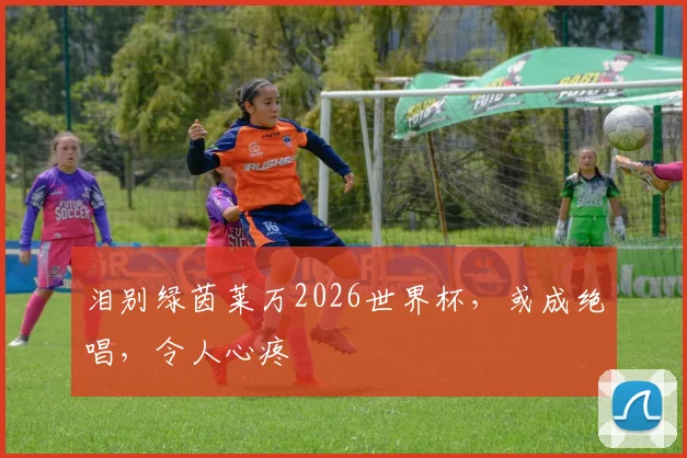 泪别绿茵莱万2026世界杯，或成绝唱，令人心疼